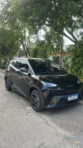 BYD Dolphin Mini (Elétrico) 2024