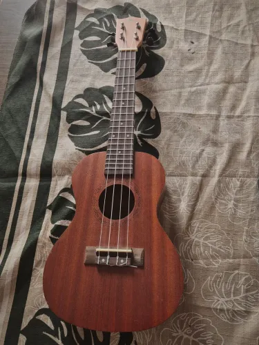 Ukulele concert acústico 23k