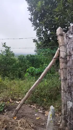 Sitio em Lagoa Seca para venda 
