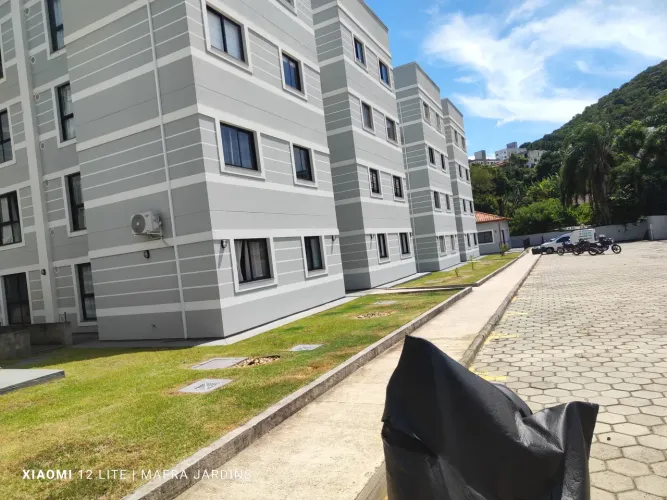 Jardinagem e paisagismo atendemos condomínio empresas e casa chama pra detalhes !!