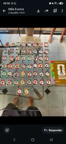 Álbum completo da copa do mundo e extra stickers