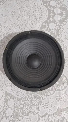 Auto falante 10pol par
