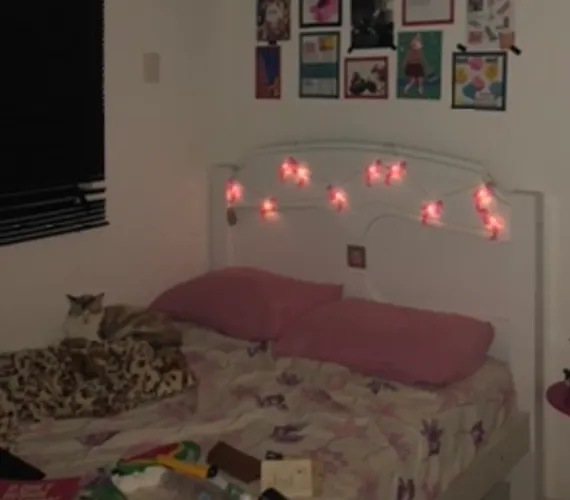 Cama