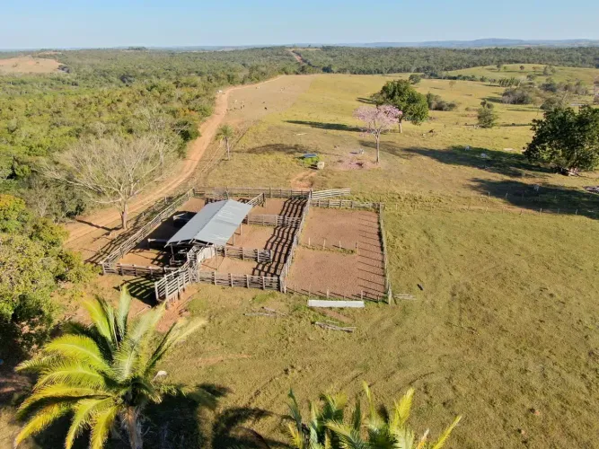CÓD368 Fazenda 298 ha Rica em Água | 20 km de Camapuã/MS