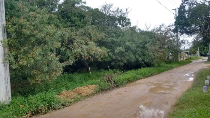 Terrenos no LAMI