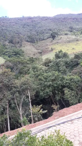 serviço de paisagismo