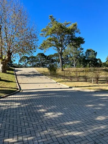 Lotes na Serra Gaúcha