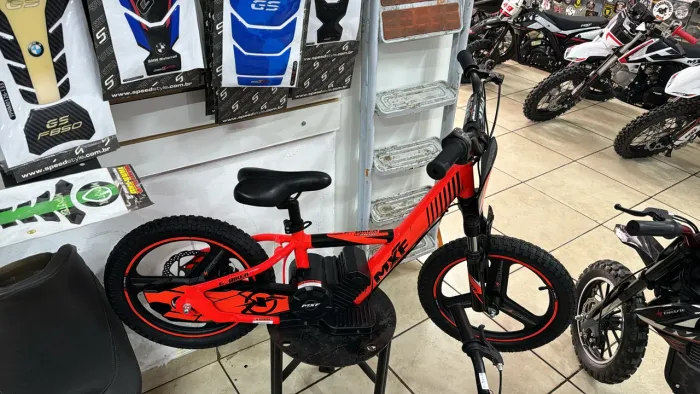 E BIKER ELETRICA 