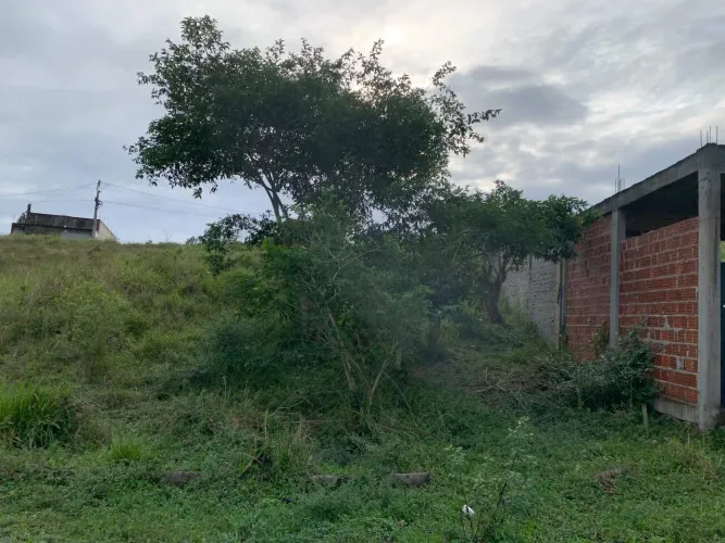 Vendo Excelente Terreno, Localizado no Loteamento Fernando Cordier - Jaçanã