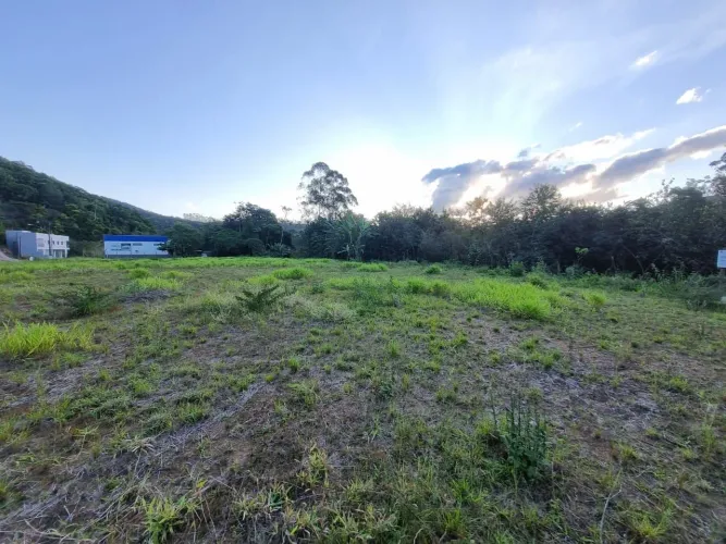 Terrenos no centro da cidade