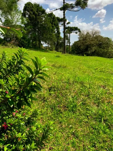 Chácaras a venda na colônia Murici ?