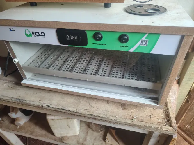 Vendo chocadeira 90 ovos,220v