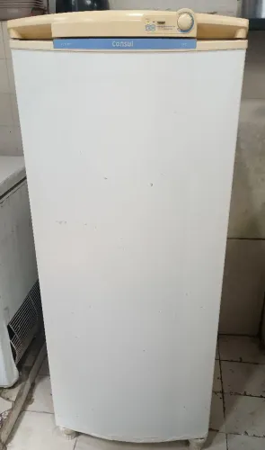Freezer vertical