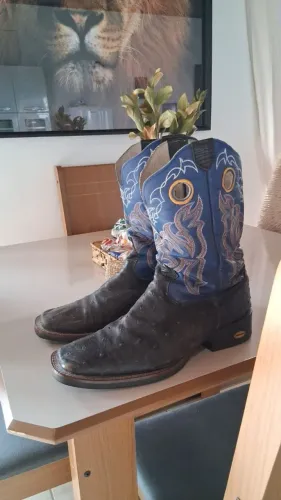 Bota DGO
