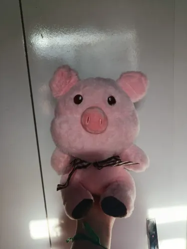 Pelúcia Porquinho Rosa lindo