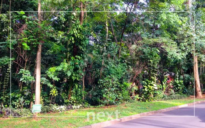 terreno - Parque Sao Quirino - Campinas