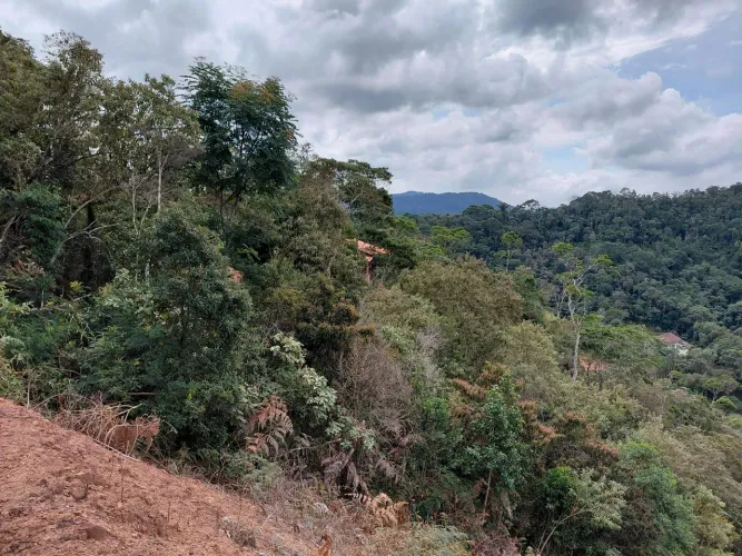 Terreno no Condomínio Fazenda dos Lagos 