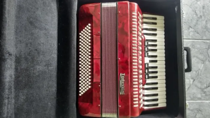 Acordeon Todeskini 120 baixos