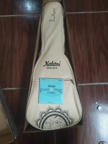 Ukulele concert