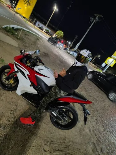 Hornet carenada