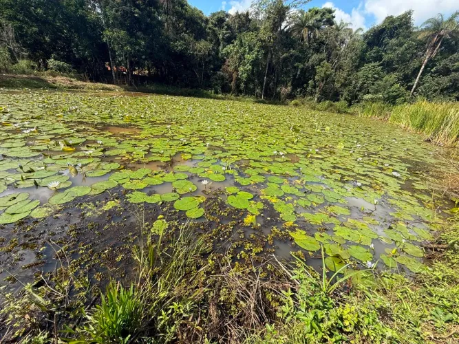 Chacaras rurais em mateus leme 