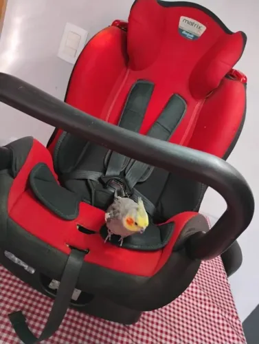 Cadeirinha de bebê da Burigotto: Matrix evolution K