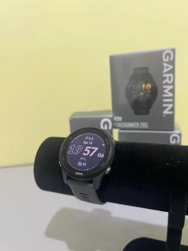 Garmin 255