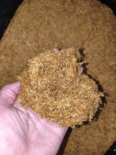 Virgínia Gold Destalado