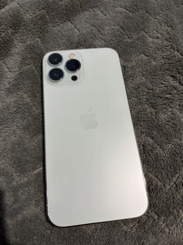 13 PRO MAX 256GB