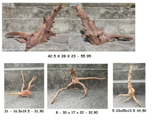Troncos naturais para ornamentação de aquários