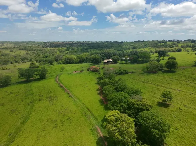 FAZENDA PECUÁRIA À VENDA / PERMUTA PARANAÍBA/MS