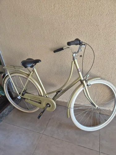 Bicicleta Echo Vintage
