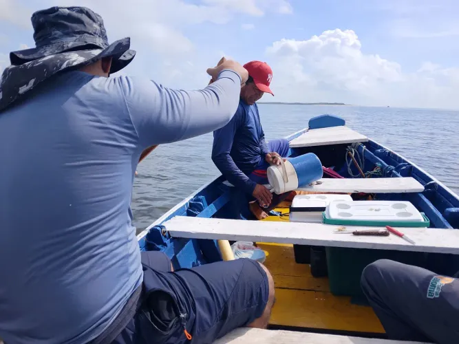 Vendo essa canoa tá parado por falta de tempo 