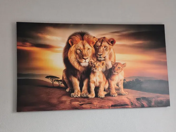 Quadro