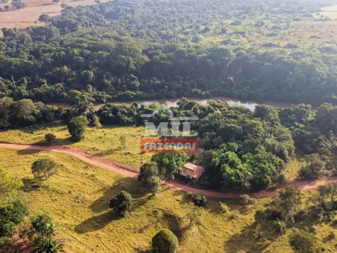 Chácara 4,8 Alqueires (23,61 hectares) Cezarina - GO