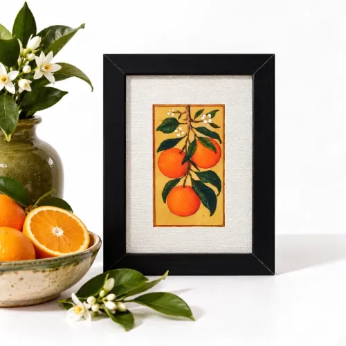 Quadro Decorativo Laranjas Botânico Frutas Cítricas Cozinha Vintage Moldura Preta 12x17