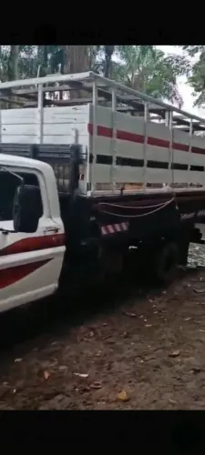 Vendo ou troco F 350, 1974