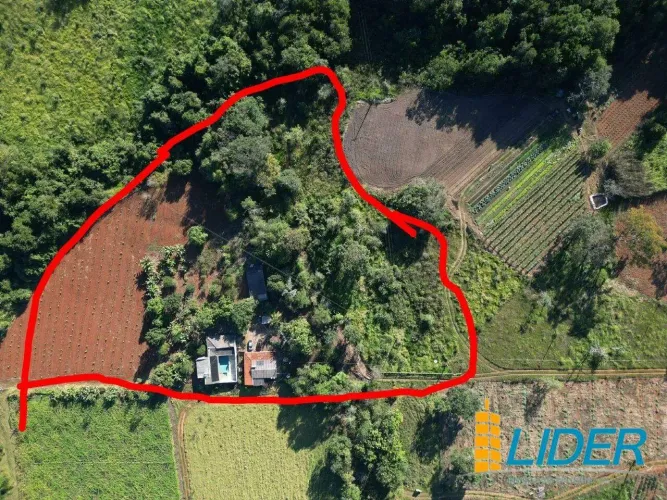 Sítio à venda, ÁREA RURAL DE UBERLÂNDIA - Uberlândia/MG