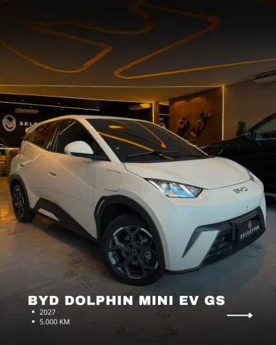 BYD Dolphin Mini (Elétrico) 2027