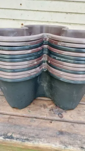 Vasos Plásticos Usados