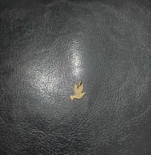 Pingente pomba da paz em ouro (ouro 750/18 k)