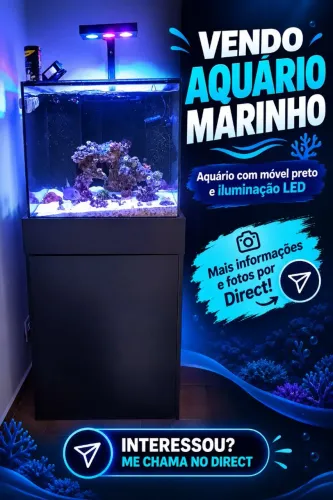 Aquário marinho