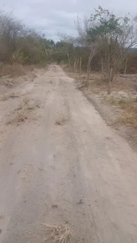 Área para sitio.