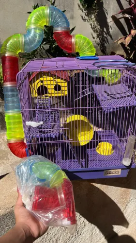 Vende-se casinha de Hamster