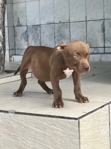 Pit monster