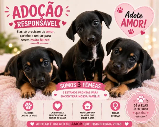 Adoção responsável
