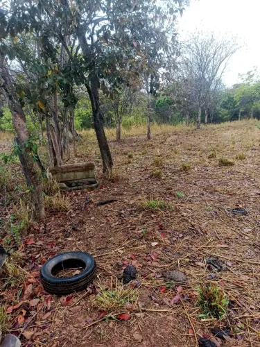 Vendo fazenda com 42 hectares banhado pelo rio jequitai