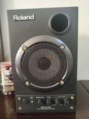 Dm2100 Roland - Monitor com Subwoofer