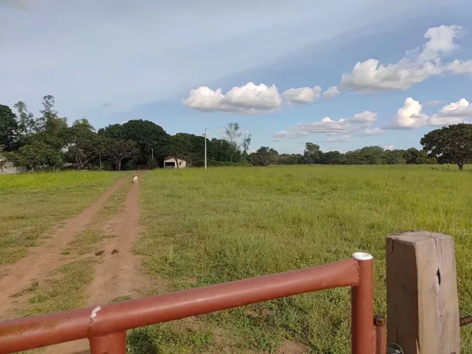 Fazenda a Venda em Gurupi-TO