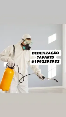 Dedetização Tavares,quer acabar com insetos indesejáveis,entre em contato 